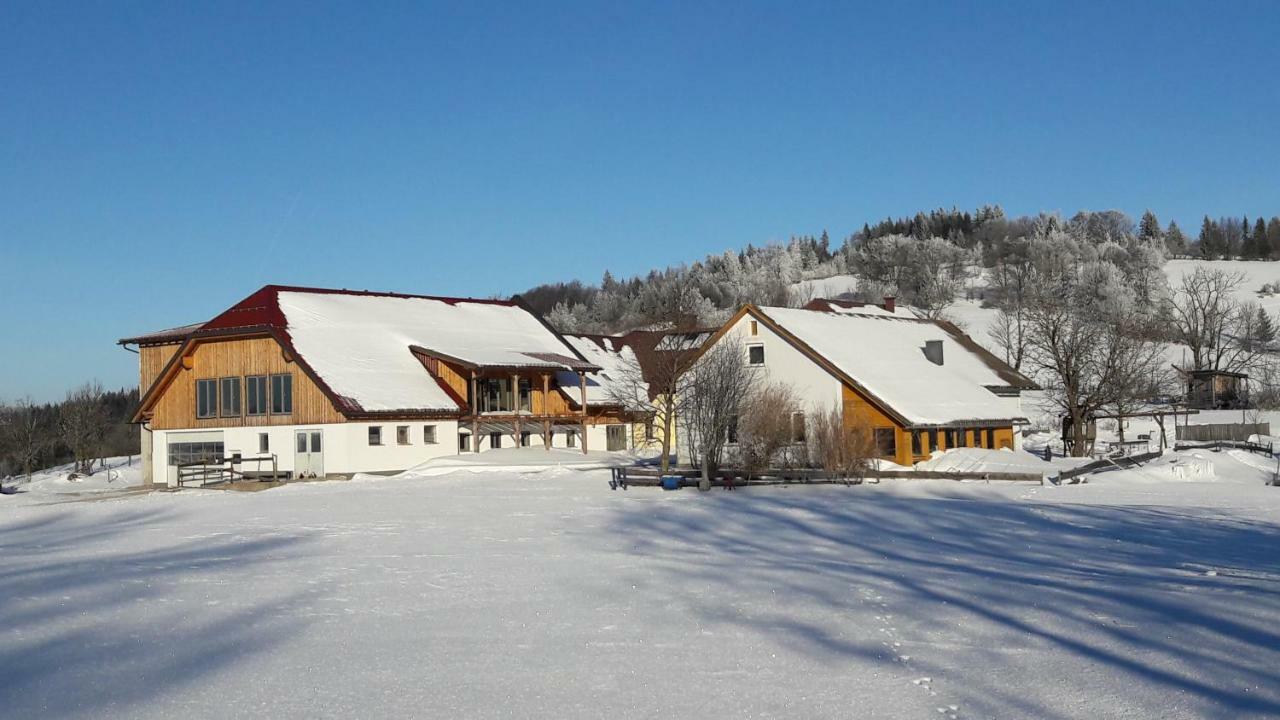 Oetscherblick Fam Winter Frankenfels Eksteriør bilde